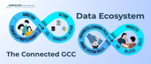 data_ecosystem_in_the_gcc